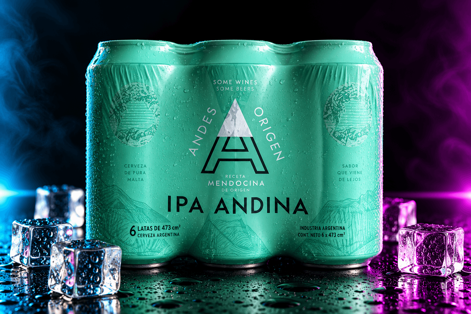Six Pack Andes IPA 473ml x6