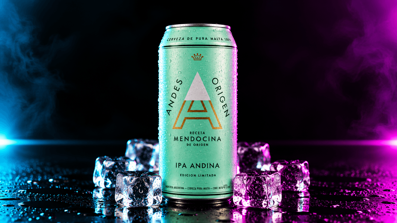 Andes IPA 473ml